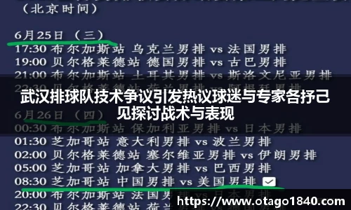 武汉排球队技术争议引发热议球迷与专家各抒己见探讨战术与表现