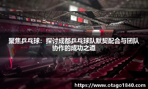 聚焦乒乓球：探讨成都乒乓球队默契配合与团队协作的成功之道